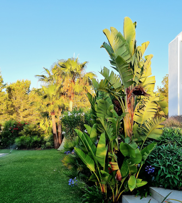 Resa estates villa es cubells frutal summer luxury garden 4.png
